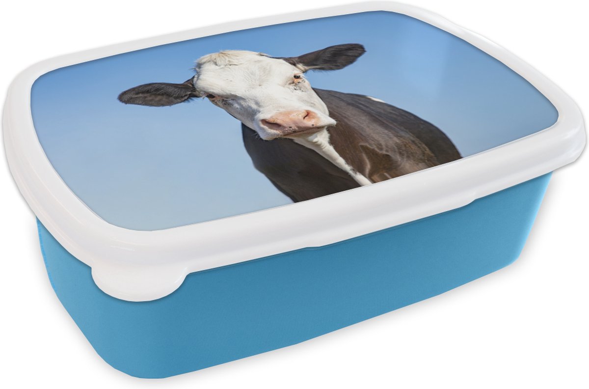 Broodtrommel Blauw - Lunchbox - Brooddoos - Koe - Macro - Blauw - 18x12x6 cm - Kinderen - Jongen