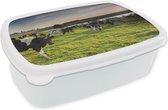 Broodtrommel Wit - Lunchbox - Brooddoos - Koe - Gras - Zonsondergang - 18x12x6 cm - Volwassenen