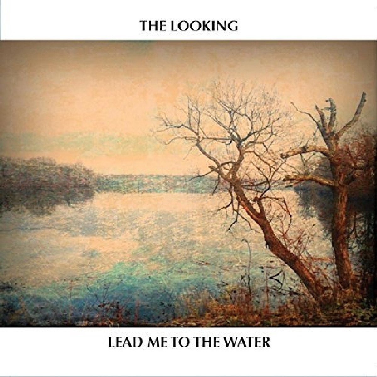 The Looking - Lead Me To The Water (CD)
