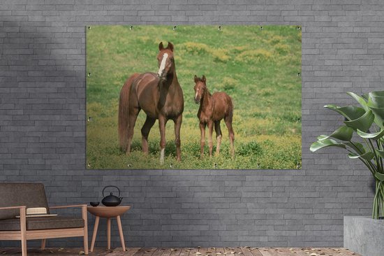 Décoration murale murale Paarden - Herbe - Marron - 180x120 cm - Affiche de jardin - Toile de jardin - Poster extérieur