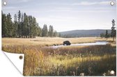 Muurdecoratie Yellowstone - Bison - Water - 180x120 cm - Tuinposter - Tuindoek - Buitenposter