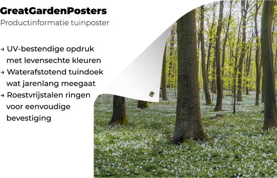 Affiche de jardin Arbres - Fleurs - Printemps - 60x30 cm