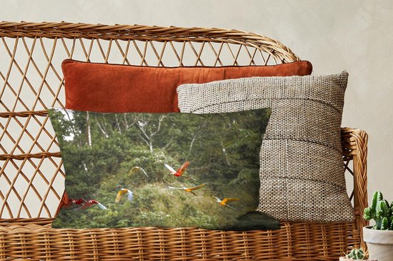 Sierkussen pour la vie forestière à l'intérieur - Perroquets dans la forêt tropicale - 50x30 cm - Coussin rectangulaire en coton