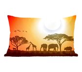 Sierkussens - Kussentjes Woonkamer - 50x30 cm - Olifant - Wilde dieren - Afrikaans