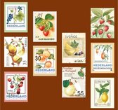 Rol Met Postzegelstickers Vruchten - D0385 - 10 Soorten, 5 Meter Stickers - Voor Scrapbook Of  Bullet Journal - Stickers Voor Volwassenen En Kinderen - Agenda Stickers - Decoratie
