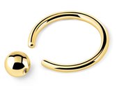 Goudkleurige Titanium 10 mm Ball closure ring 1,6. RH-Jewelry