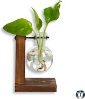 Terrarium| Hydroponie | Plant | Stekjes | Bloemen | Waterplanten | Hout | Glas | Dubbelglas | Vaas | Vaasjes |Planten stekken in water | Nordic Style | TheOldOmen |