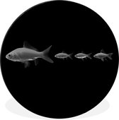 WallCircle - Tableau - Goldfish Row Xxl - Zwart Et Wit - 120 X 120 Cm