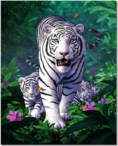 Schilderen op nummer volwassen tijger 40 x 50 cm