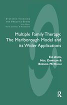 The Systemic Thinking and Practice Series - Multiple Family Therapy