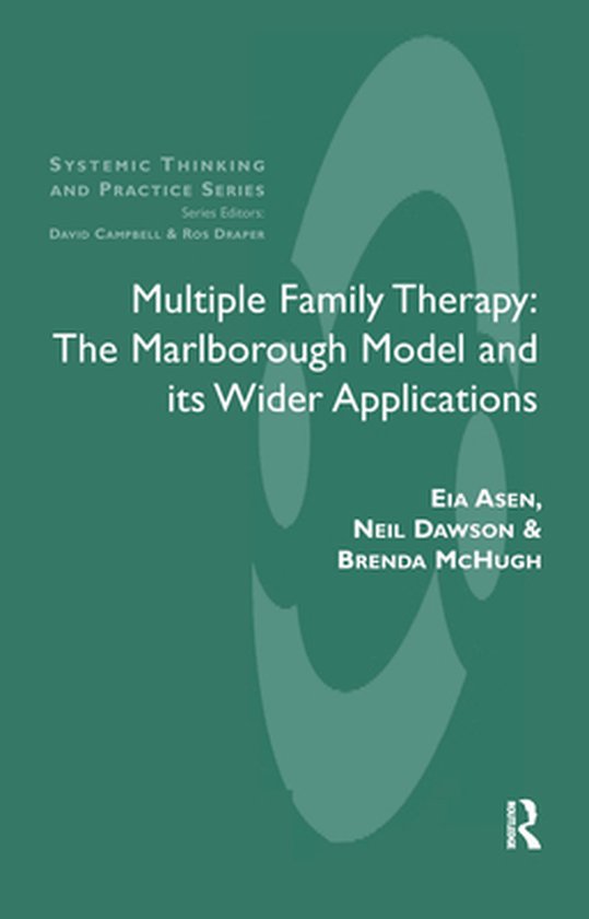 The Systemic Thinking and Practice Series - Multiple Family  ... - cover