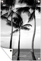 Tuinposter - Tuindoek - Tuinposters buiten - Palmbomen in Hawaii van dichtbij - zwart wit - 80x120 cm - Tuin