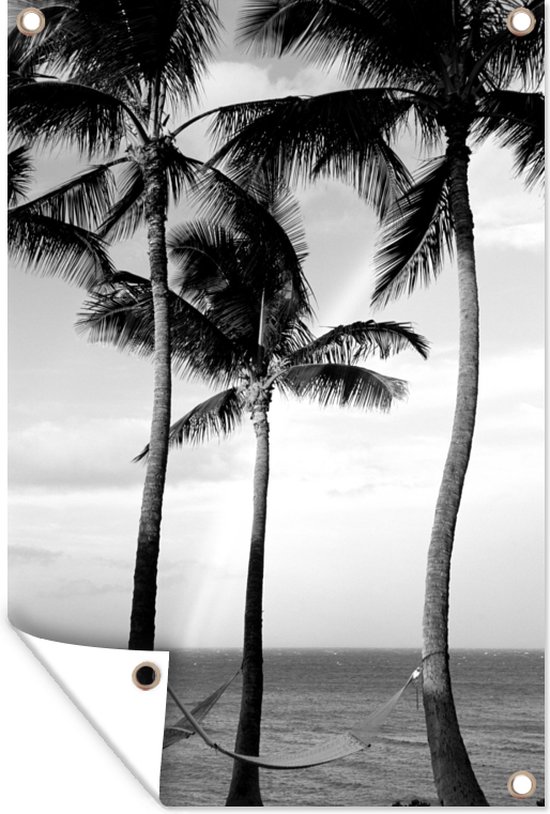 Tuinposter - Tuindoek - Tuinposters buiten - Palmbomen in Hawaii van dichtbij - zwart wit - 80x120 cm - Tuin
