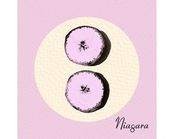 Niagara - Otto (CD)