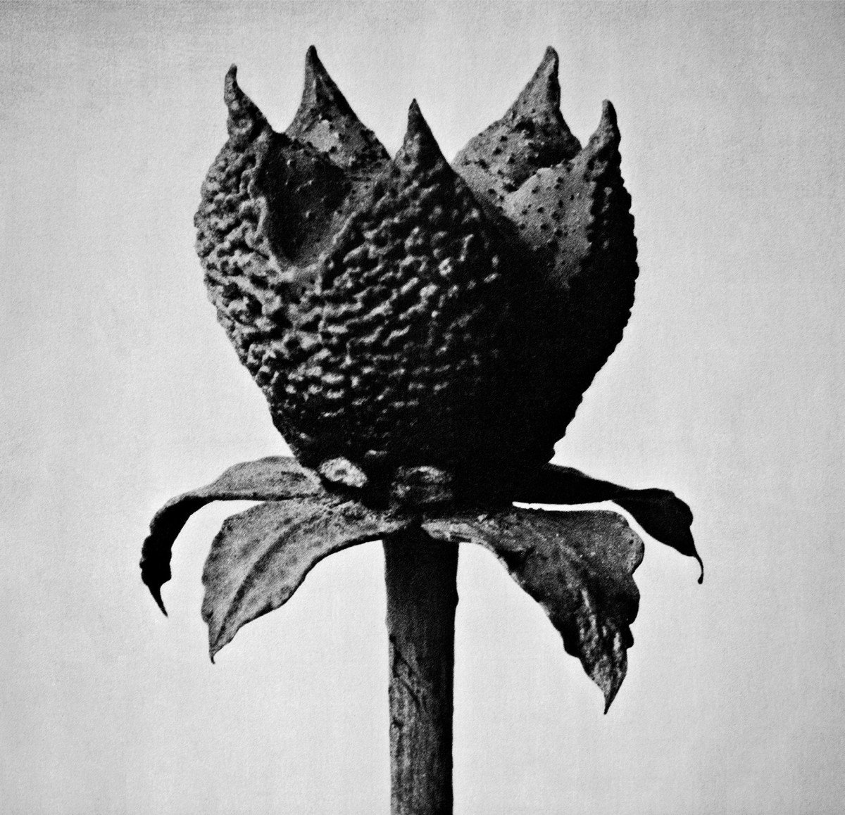 Masayoshi Fujita - Book Of Life (CD)