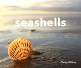 Seashells