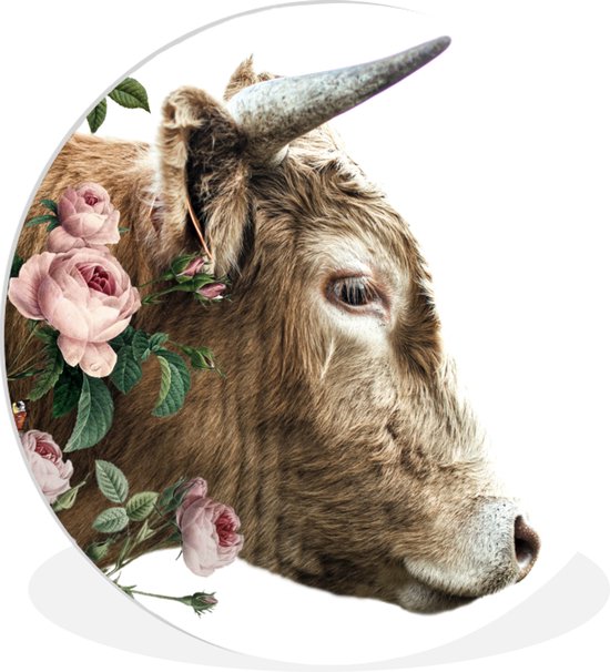 Cercle mural - Plastique - Highlander écossais - Fleurs - Animaux - Rose - ⌀ 30 cm - Chambre déco