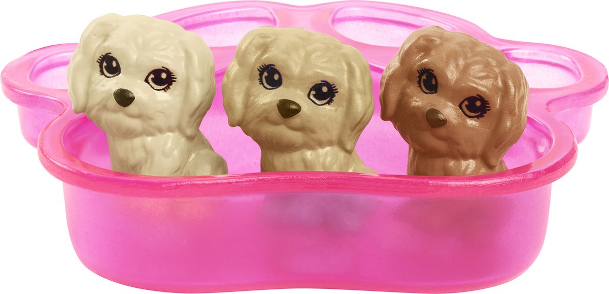 Het kantoor voor Diagnostiseren Barbie met Hond en Puppy's | bol.com