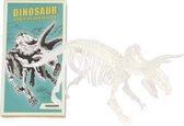 Rex London - Dinosaurus skelet - Glow in the dark - Glow in the dark skeleton - Triceratops