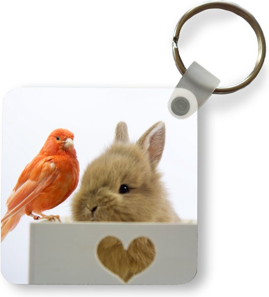 Sleutelhanger - Uitdeelcadeautjes - Dieren - Konijn - Vogel - Plastic
