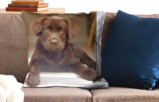 Sierkussen' intérieur Labrador Retriever - Cute Labrador Retriever regardant dans la caméra - 60x60 cm - Coussin intérieur carré en coton