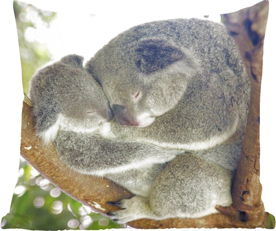Springkussen Koala Sierkussen - Koalas Knuffel Dieren - Bruin - 45 Cm X 45 Cm | bol.com