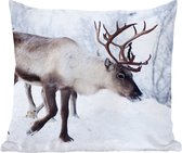 Sierkussen - Een Kerstfoto Van Rendieren Langs De Wegen Van Het Finse Kilpisjarvi
