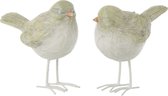 J-Line Vogel Poly Wit/Lichtgroen Small Assortiment Van 2/ Set van 4 stuks