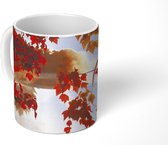 Mok - Herfstbladeren in de VS - 350 ML - Beker