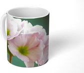 Mok - Licht roze primula - 350 ML - Beker