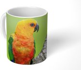 Mok - Een oranje Zonparkiet zit op een boom - 350 ML - Beker