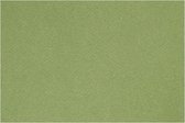 Frans karton groen A4 210 x 297 mm 160 gram