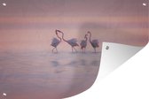 Muurdecoratie Vier flamingo's staan in het water - 180x120 cm - Tuinposter - Tuindoek - Buitenposter