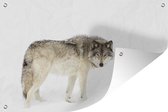 Muurdecoratie Wolf - Sneeuw - Winter - 180x120 cm - Tuinposter - Tuindoek - Buitenposter