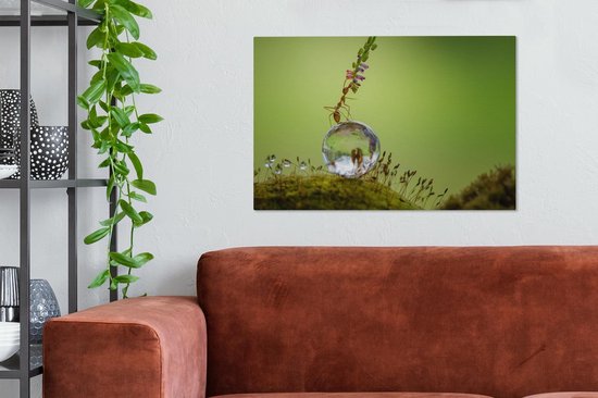 Tableau sur toile Fourmi assise sur une goutte d'eau - 60x40 cm - Décoration murale