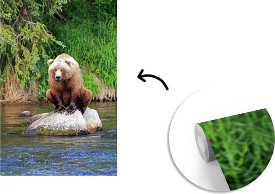 Papier peint - Papier peint photo Ours - Pierre - Animal - Largeur 180 cm x hauteur 280 cm