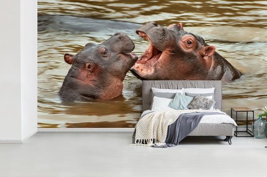 Papier peint - Papier peint Papier peint photo Hippopotame - Animaux - Water - Largeur 395 cm x hauteur 220 cm