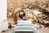 Behang - Fotobehang Cheetah - Dier - Close up - Breedte 330 cm x hoogte 220 cm