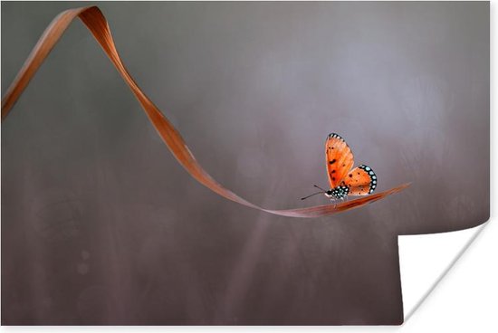Poster Insect - Oranje - Blad - 30x20 cm