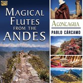Pablo Carcamo - Magical Flutes From The Andes. Aconcagua (CD)