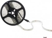 LED Strip - Koel Wit - 5M