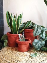 Lederen planten cover - Lederen hoes - Terracotta - Small - Studio Pair
