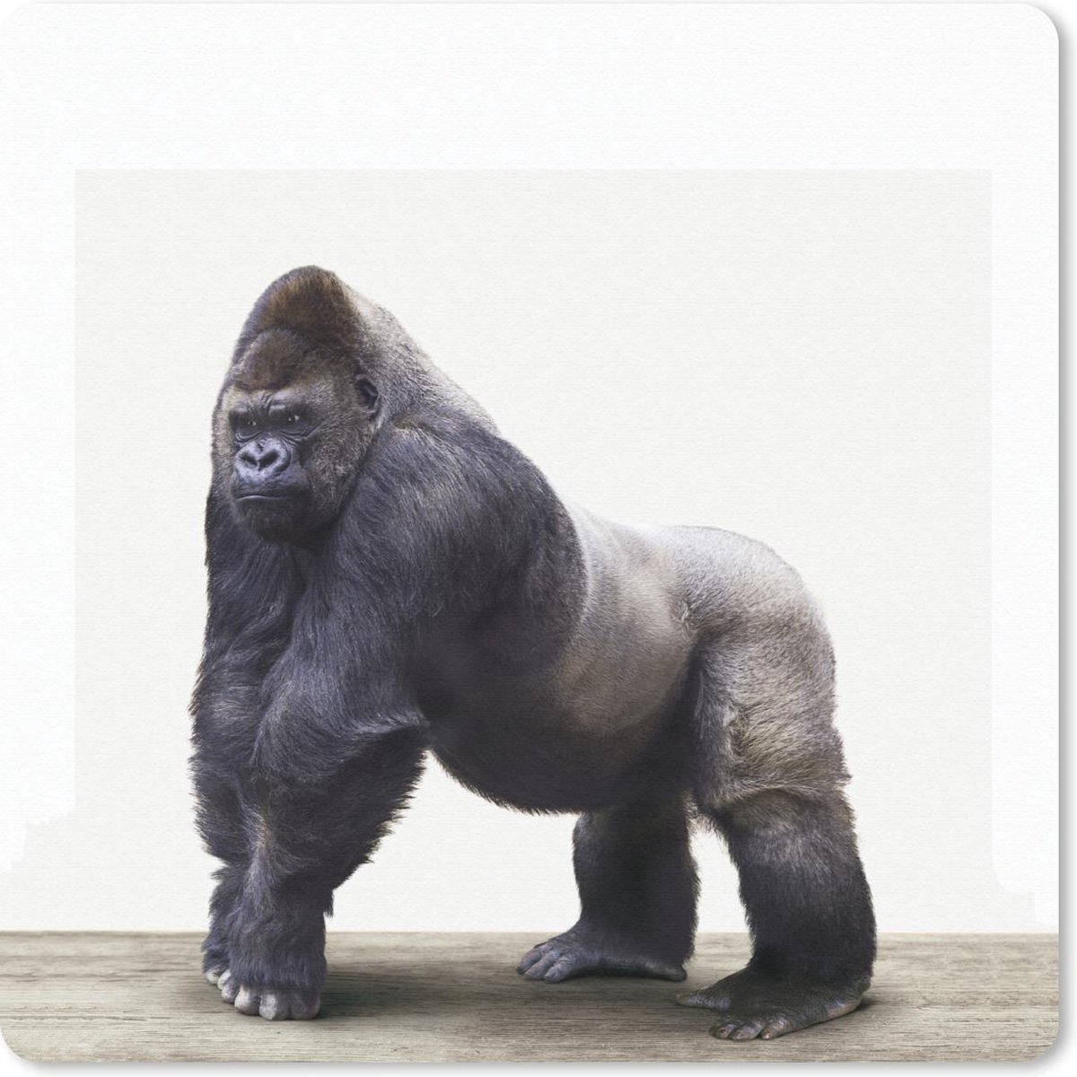 Muismat 30x30 cm - Mousepad Dier - Gorilla - Aap - Muismatten