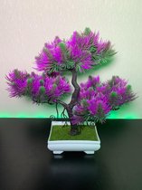 Argibi - Bonsai - Purple