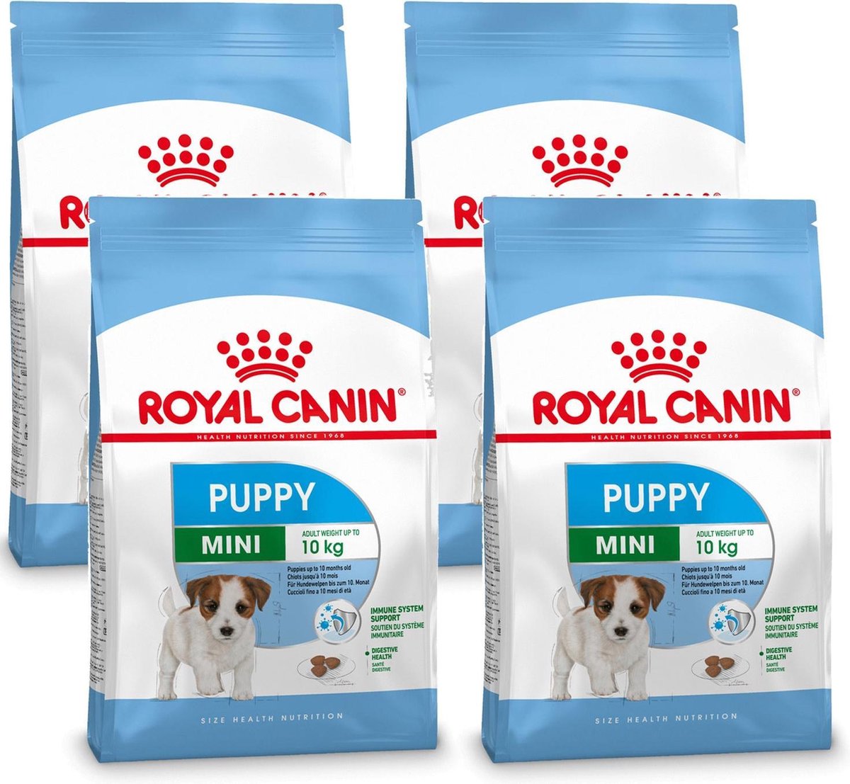 Royal Canin Shn Mini Puppy - Hondenvoer - 4 x 4 kg | bol.com