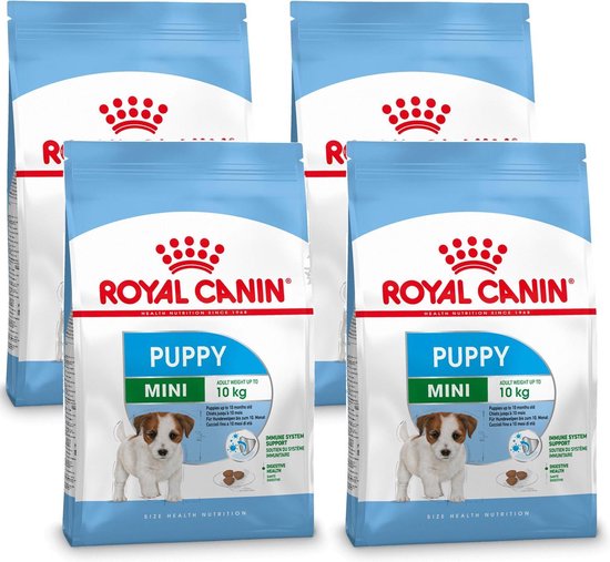 dennenboom Gelukkig Patois Royal Canin Shn Mini Puppy - Hondenvoer - 4 x 4 kg | bol.com