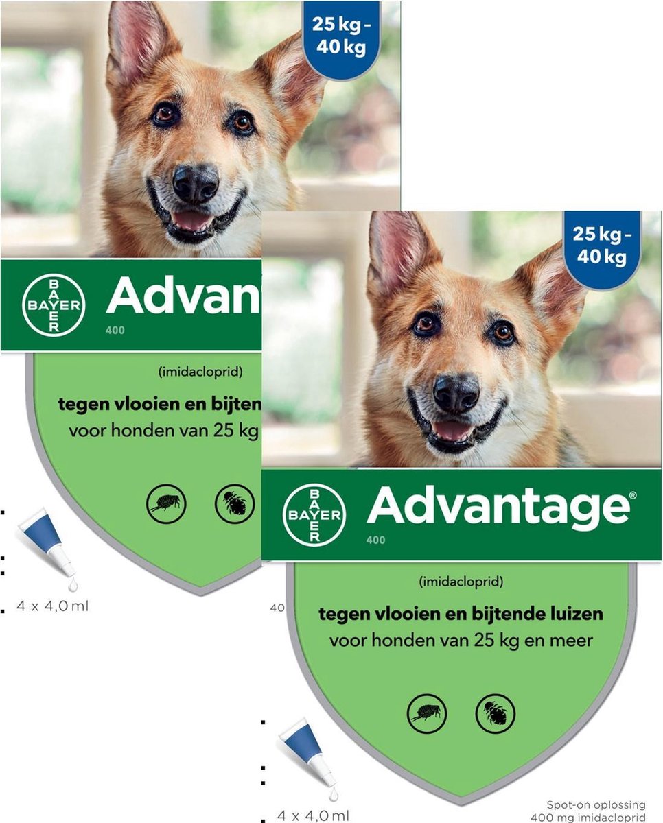 Advantage Hond 4 pip - Anti vlooien en luizenmiddel - 2 x 4 ml 25-40 Kg