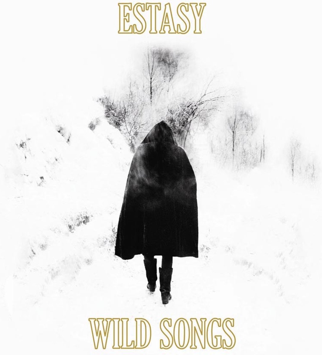 Estasy - Wild Songs (LP)