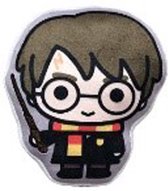 Harry Potter Kussen - 20 cm - Deco