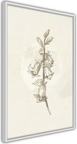 Ingelijste Poster - Beige Campanula Witte lijst